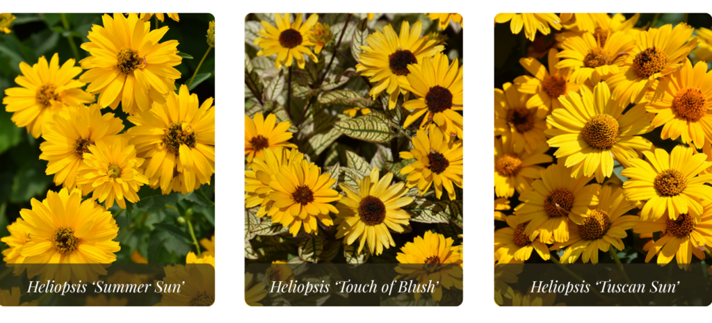 2026 blog headers (40)