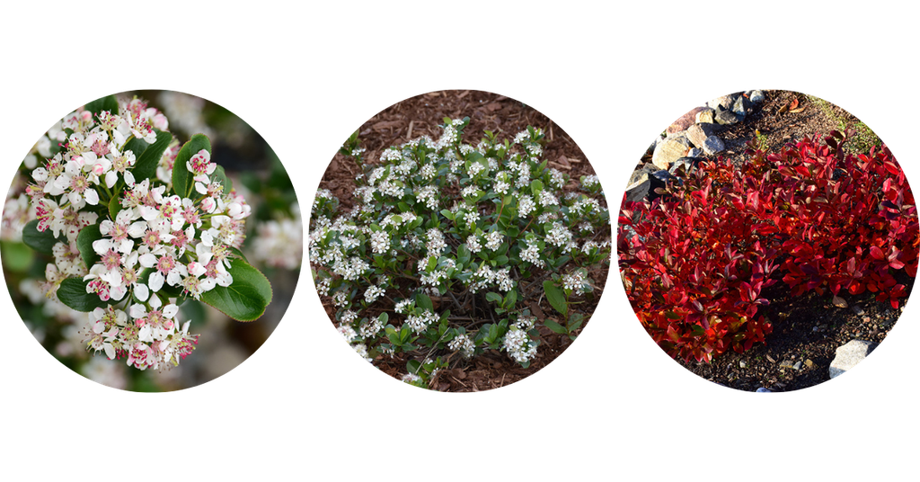 2026 blog headers (50)