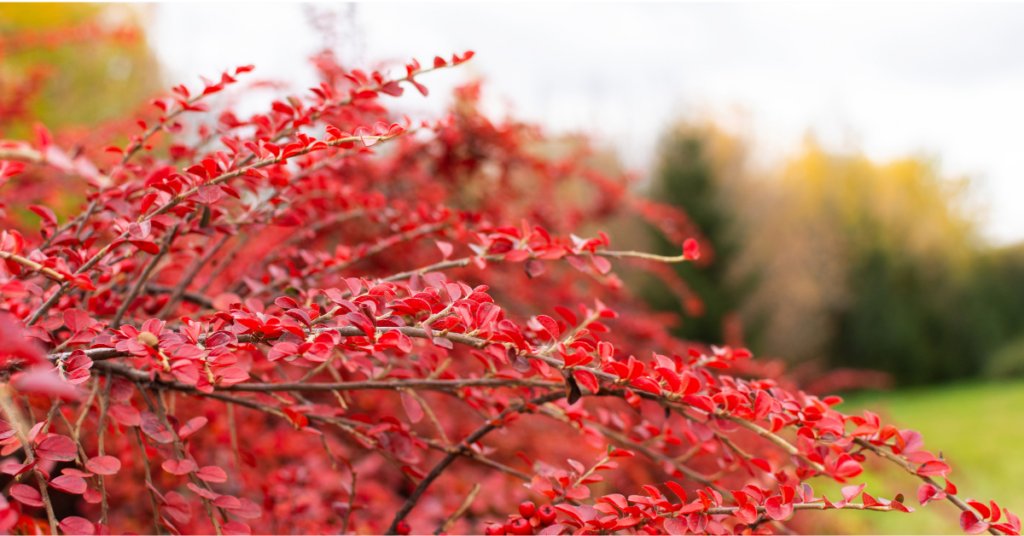 blog title header (28)